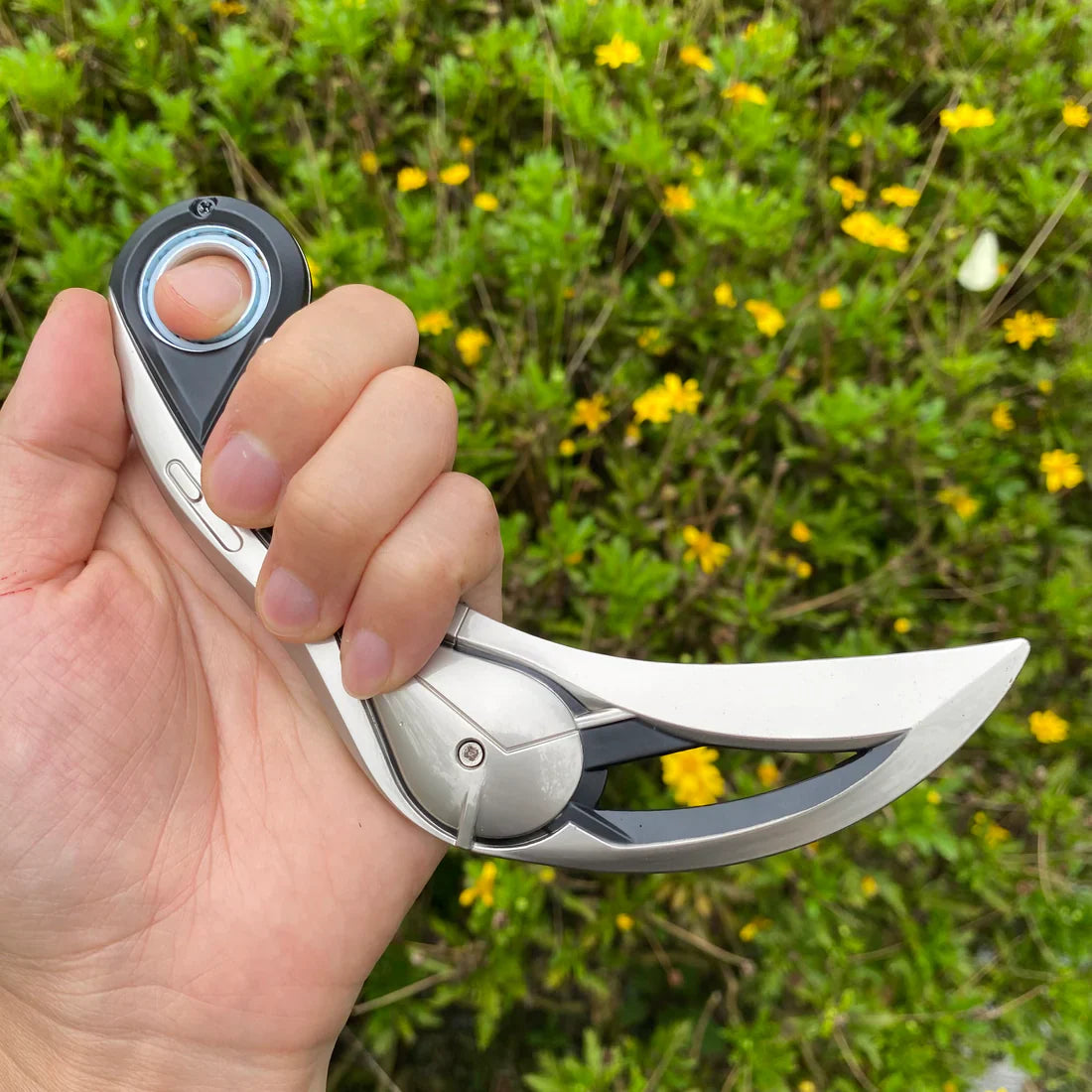 Karambit Ion
